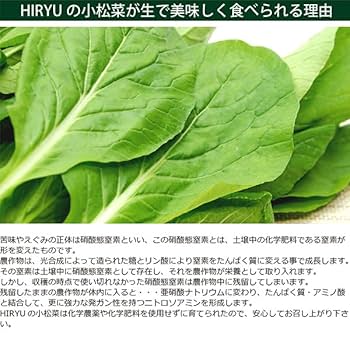 こまつな 楽天市場】【静岡県産】 小松菜 200g 20入り 約4kg こまつな